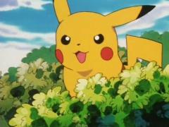 Προσωπική φωτογραφία