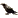 Ατυχία