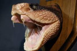 Προσωπική φωτογραφία