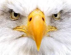 Προσωπική φωτογραφία