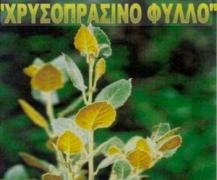 Προσωπική φωτογραφία