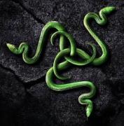 Προσωπική φωτογραφία