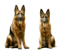 Προσωπική φωτογραφία