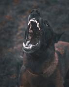 Προσωπική φωτογραφία