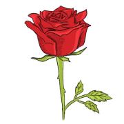 Προσωπική φωτογραφία